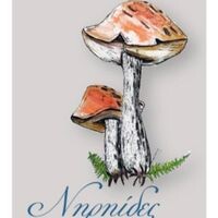 logo-shop
