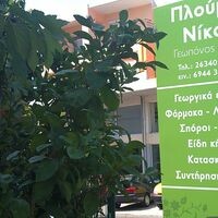 logo-shop
