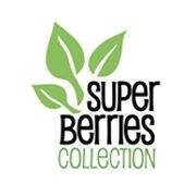 logo-shop