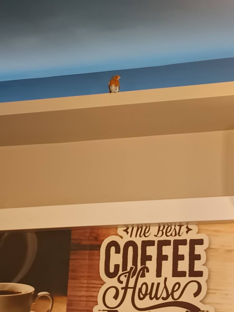 Street Coffee All Day Bar