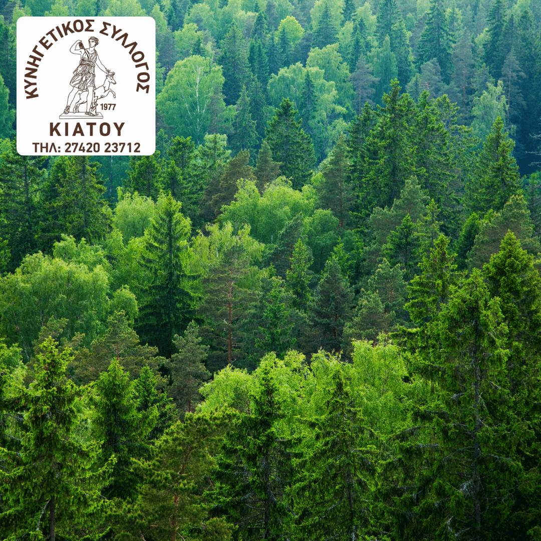 Κυνηγετικός Σύλλογος Κιάτου