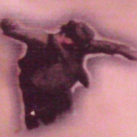 logo-shop