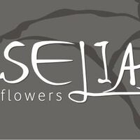 logo-shop