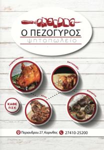 Ο ΠΕΖΟΓΥΡΟΣ pdf