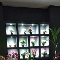 logo-shop