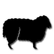 logo-shop
