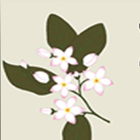 logo-shop