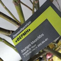 logo-shop