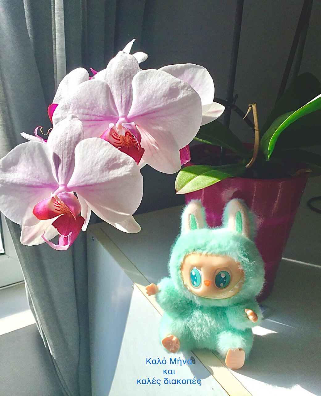 Nature Gifts 