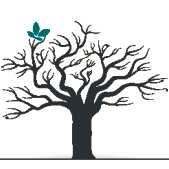 logo-shop