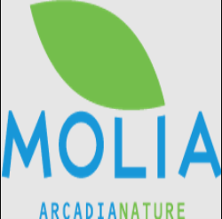 logo-shop