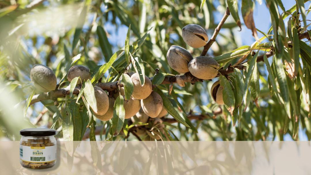 «Από το χωράφι… στο βαζάκι σου»